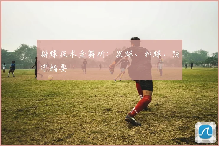 排球技术全解析：发球、扣球、防守精要