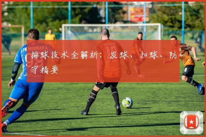 排球技术全解析：发球、扣球、防守精要